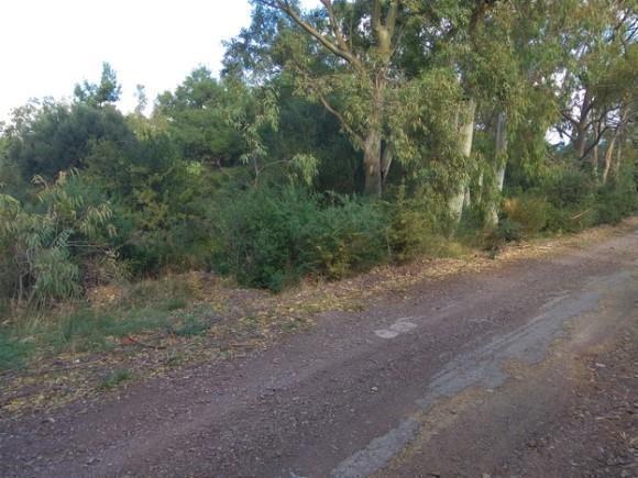 Διατίθεται προς πωληση οικόπεδο (1) επιφάνειας 425,50 τ.μ