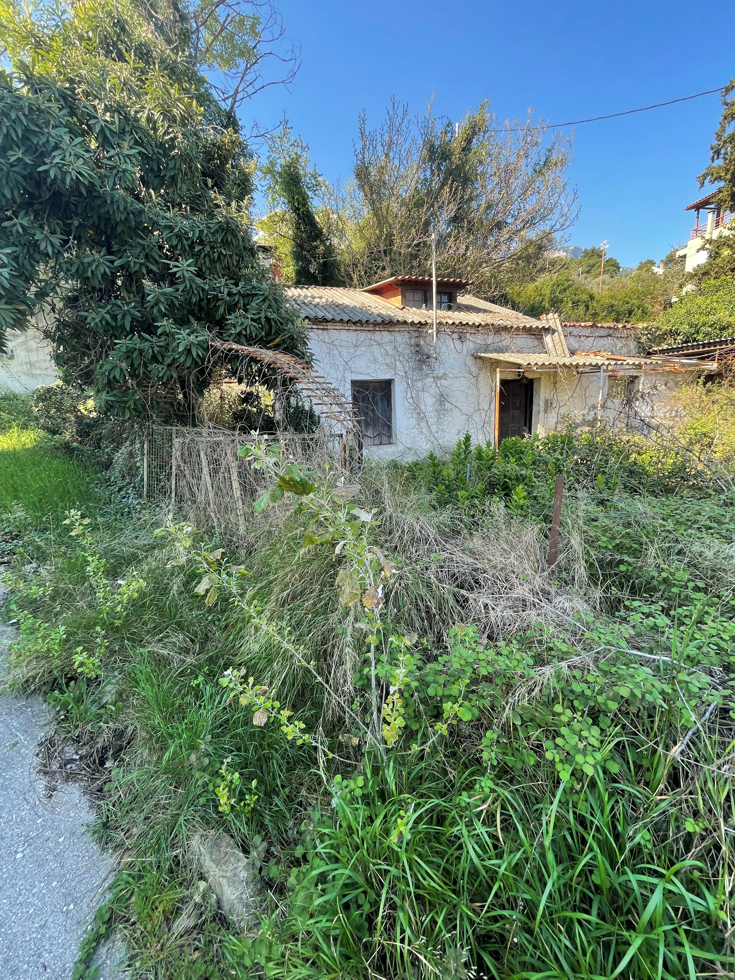 Διατίθεται προς πώληση γωνιακό οικόπεδο έκτασης 894.58 τ.μ., με εγκαταλειμμένη παλαιά οικία 100 τ.μ., στην οδό 25ης Μαρτίου, στον Άγιο Κωνσταντίνο Φθιώτιδας