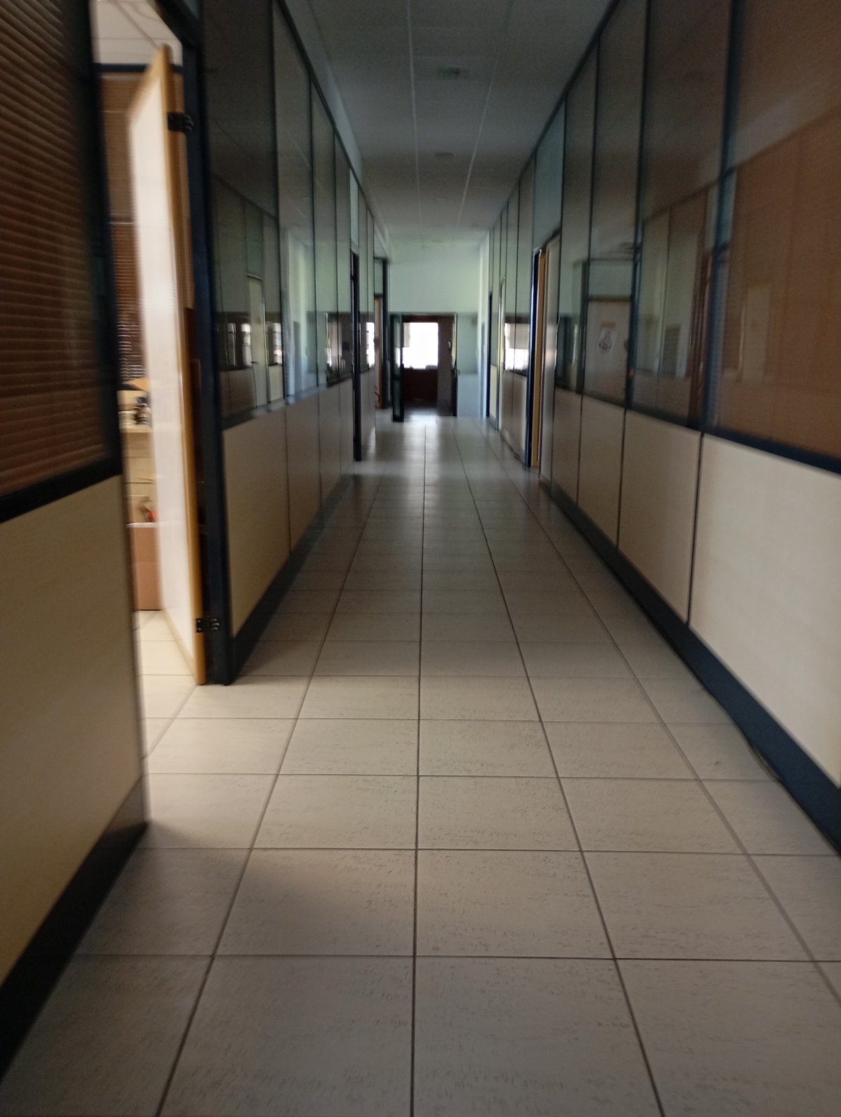Media 3