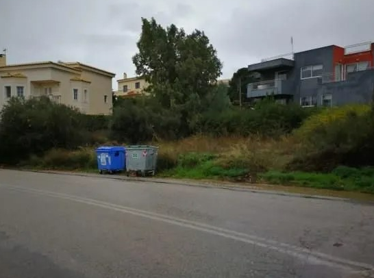 Media 4