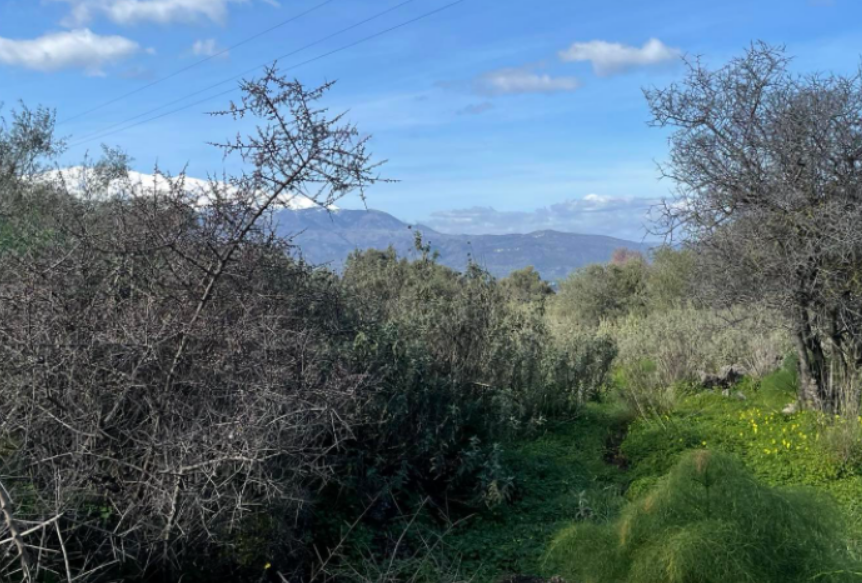 Διατίθεται προς πώληση οικόπεδο 1043.20 τ.μ., άρτιο και οικοδομήσιμο, εντός οικισμού, με πρόσοψη 13.21 μ
