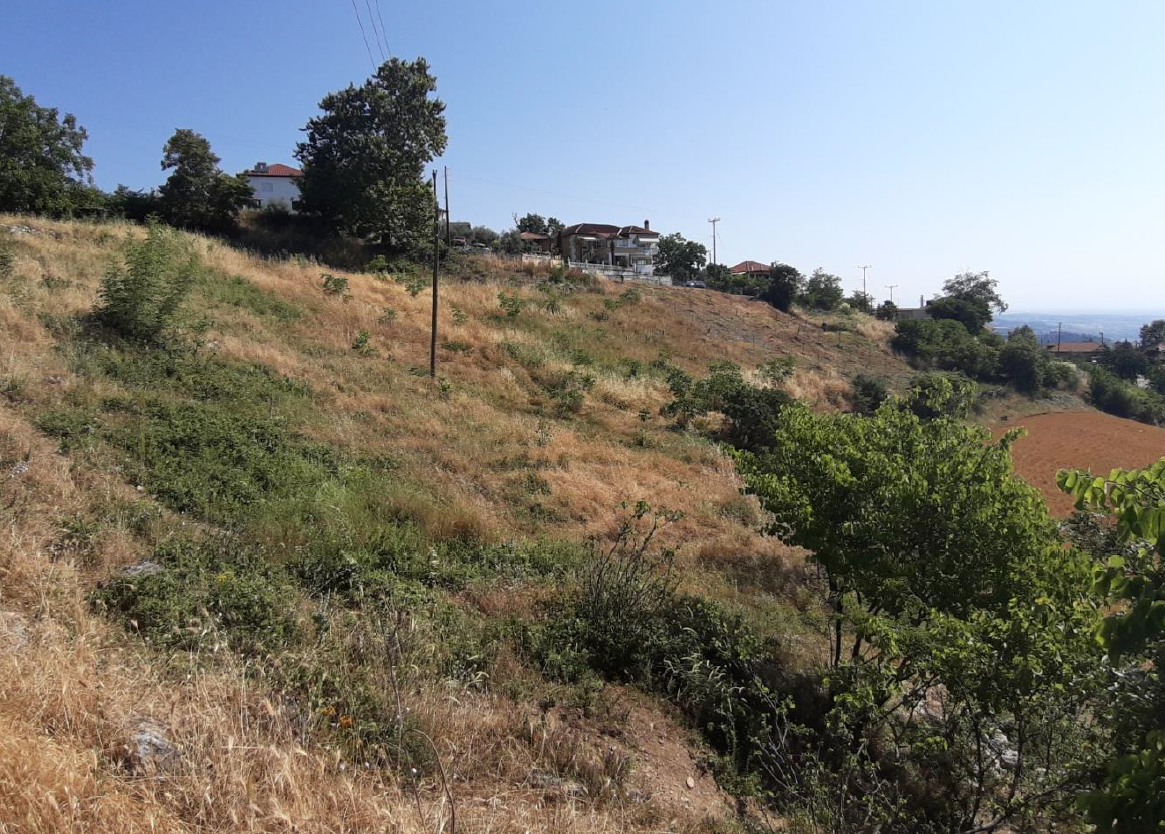 Διατίθεται προς πώληση οικόπεδο 1002 τ.μ., στη Μεσαία Μηλιά, Κατερίνη