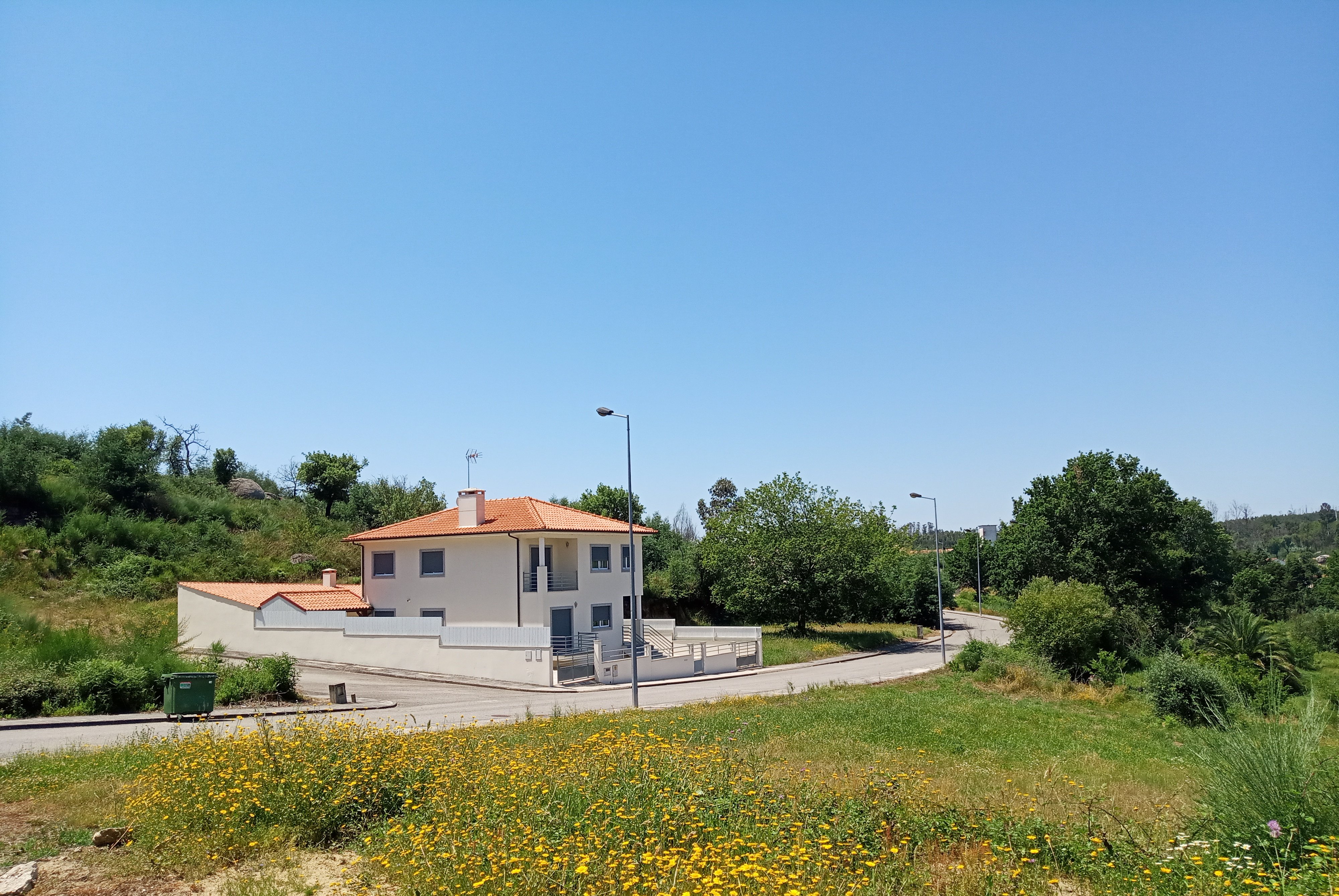 Image4