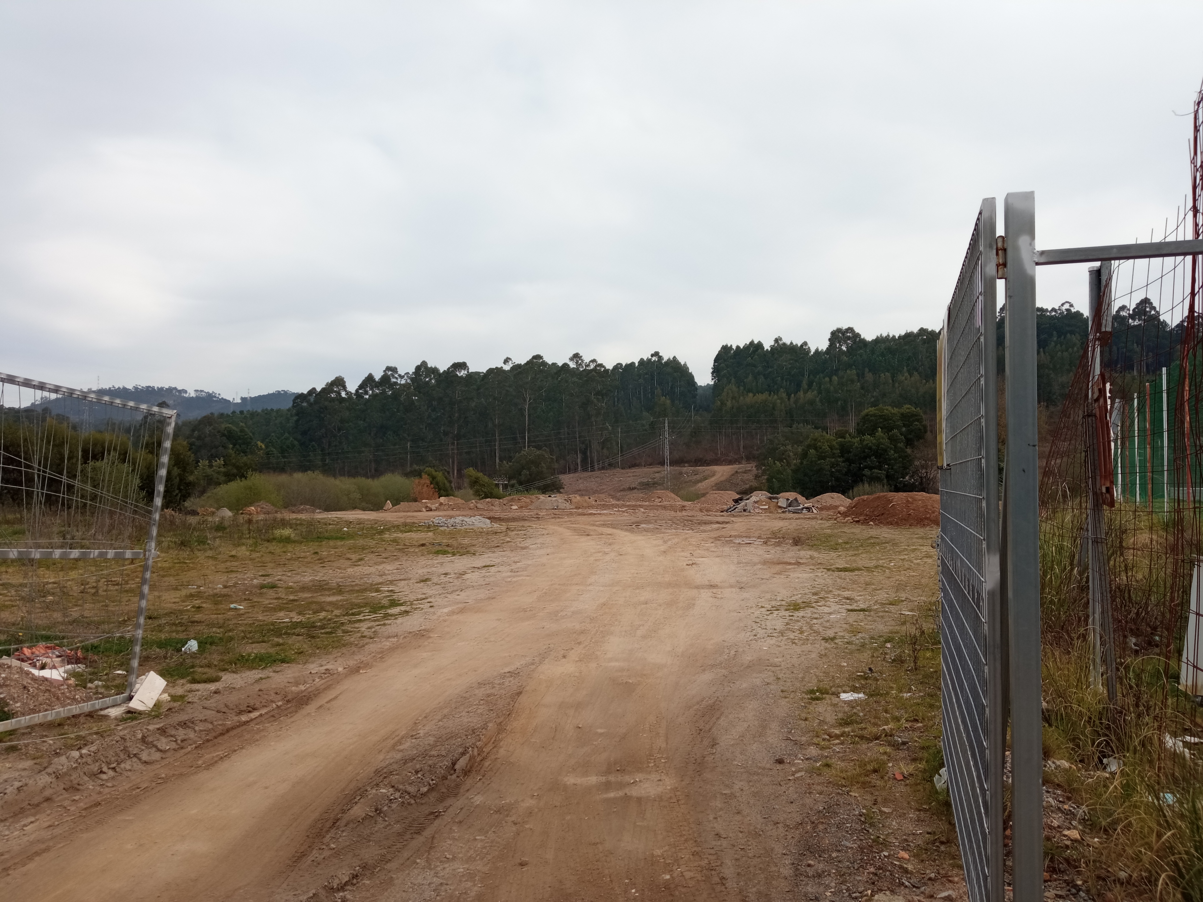 Image4