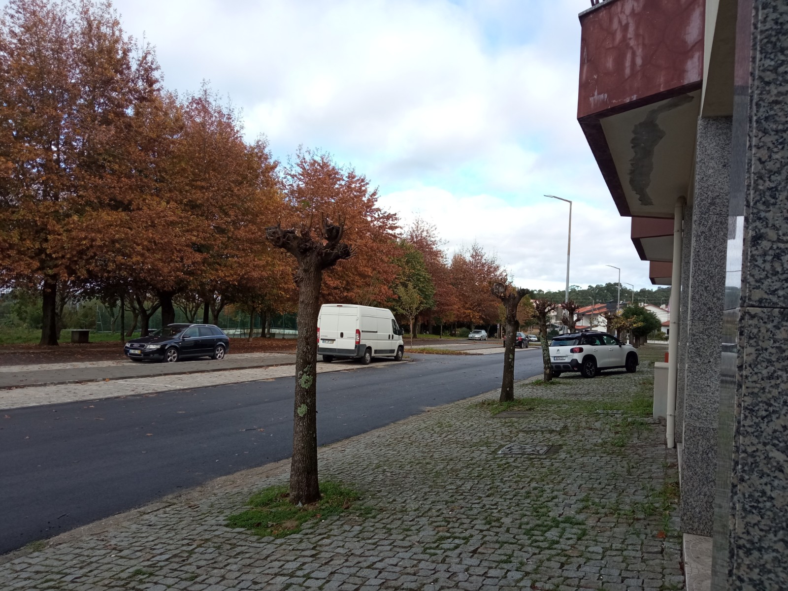 Image4
