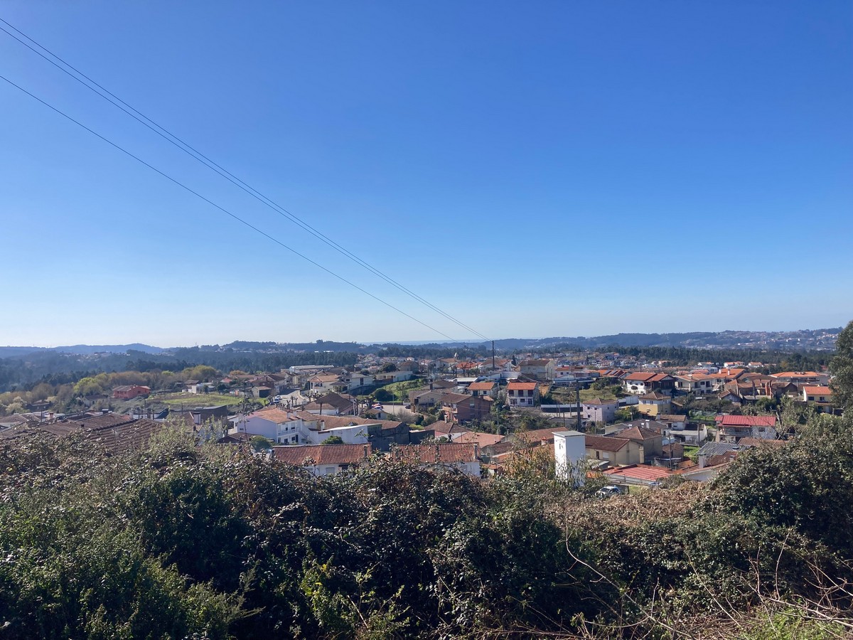 Image2