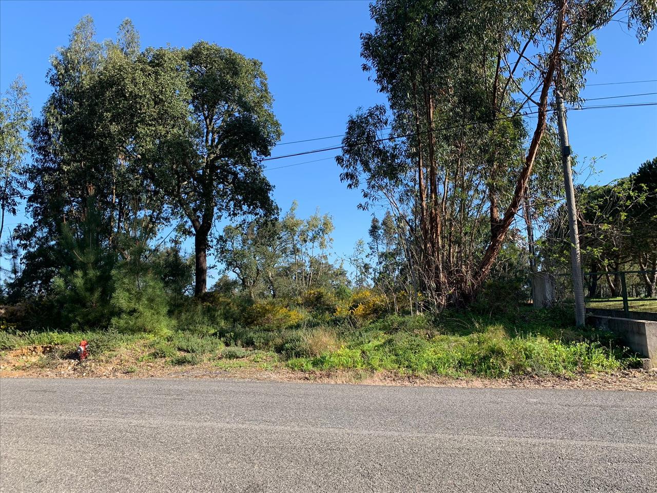 Image4