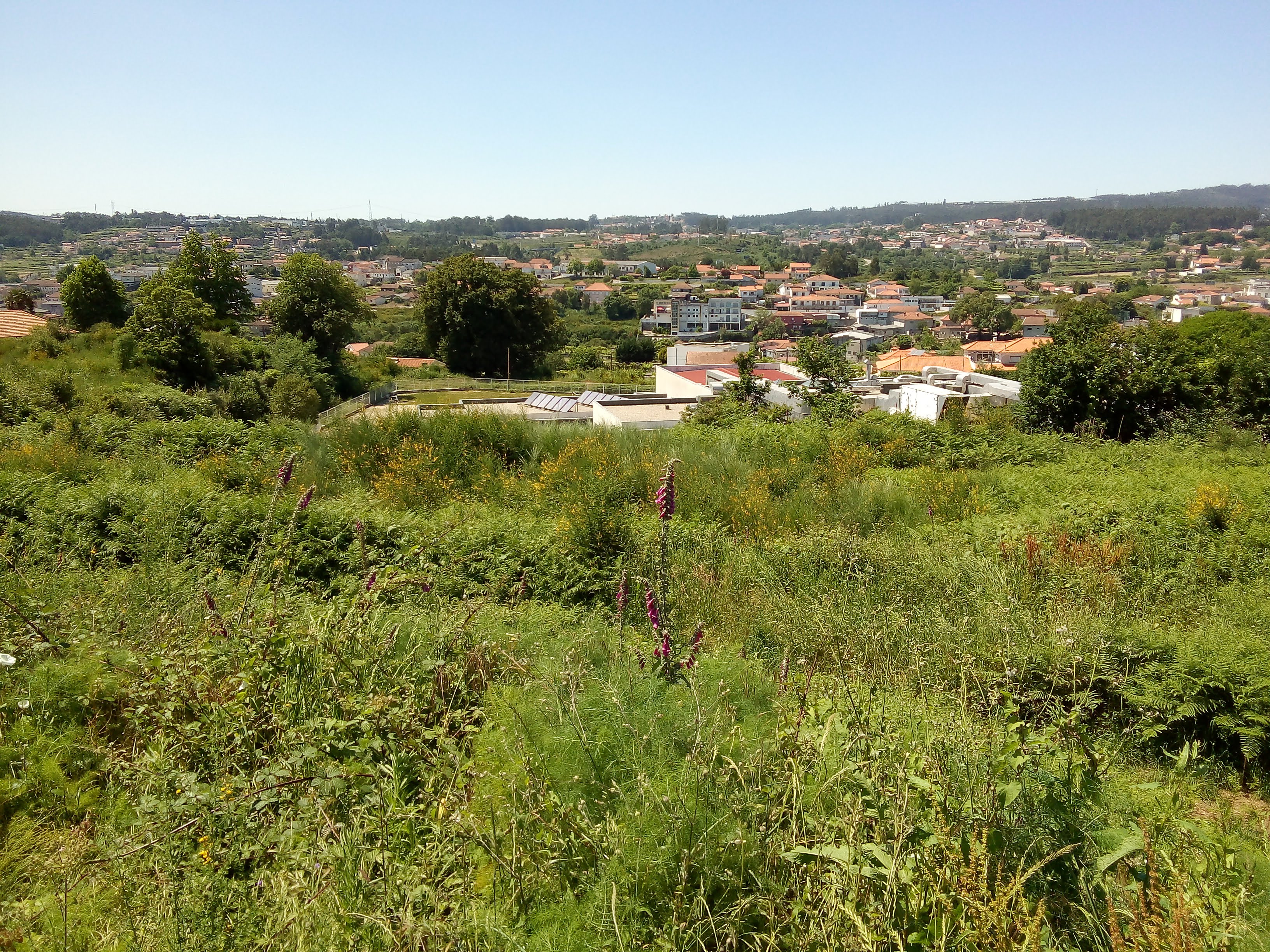 Venda de 2 Terrenos Urbanos em Travessa Seixo Nº s/n Arreigada (Paços de Ferreira) - Image 8