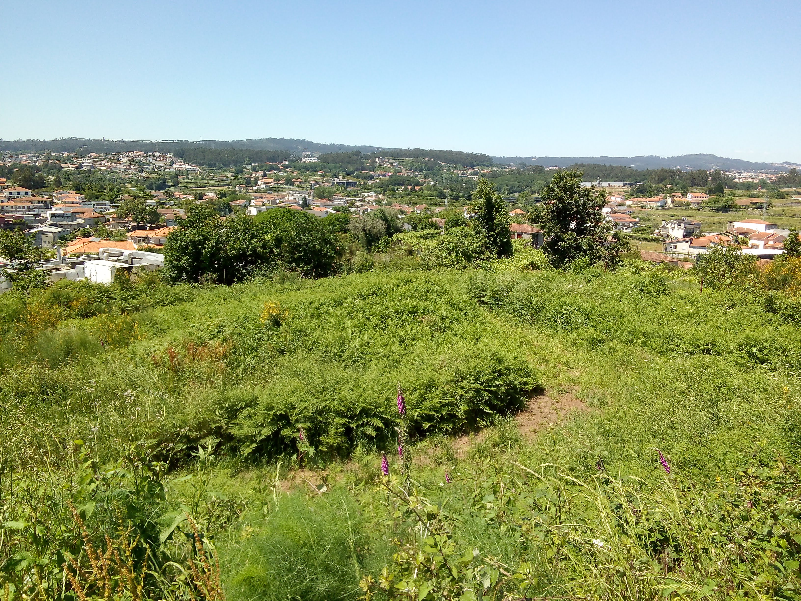 Venda de 2 Terrenos Urbanos em Travessa Seixo Nº s/n Arreigada (Paços de Ferreira) - Image 9