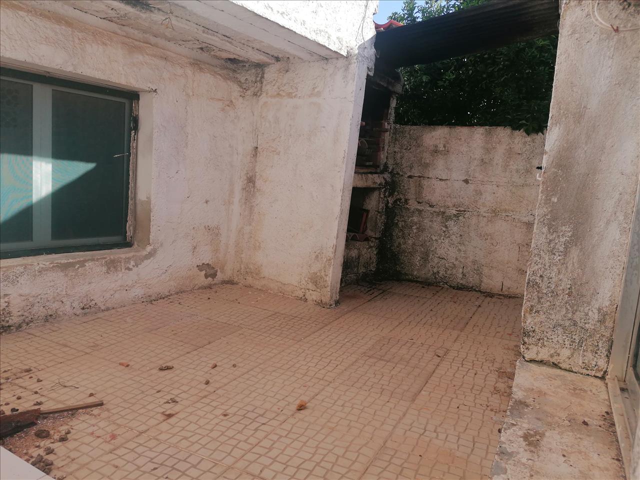 Moradia em Cabeça Gorda - Image 20