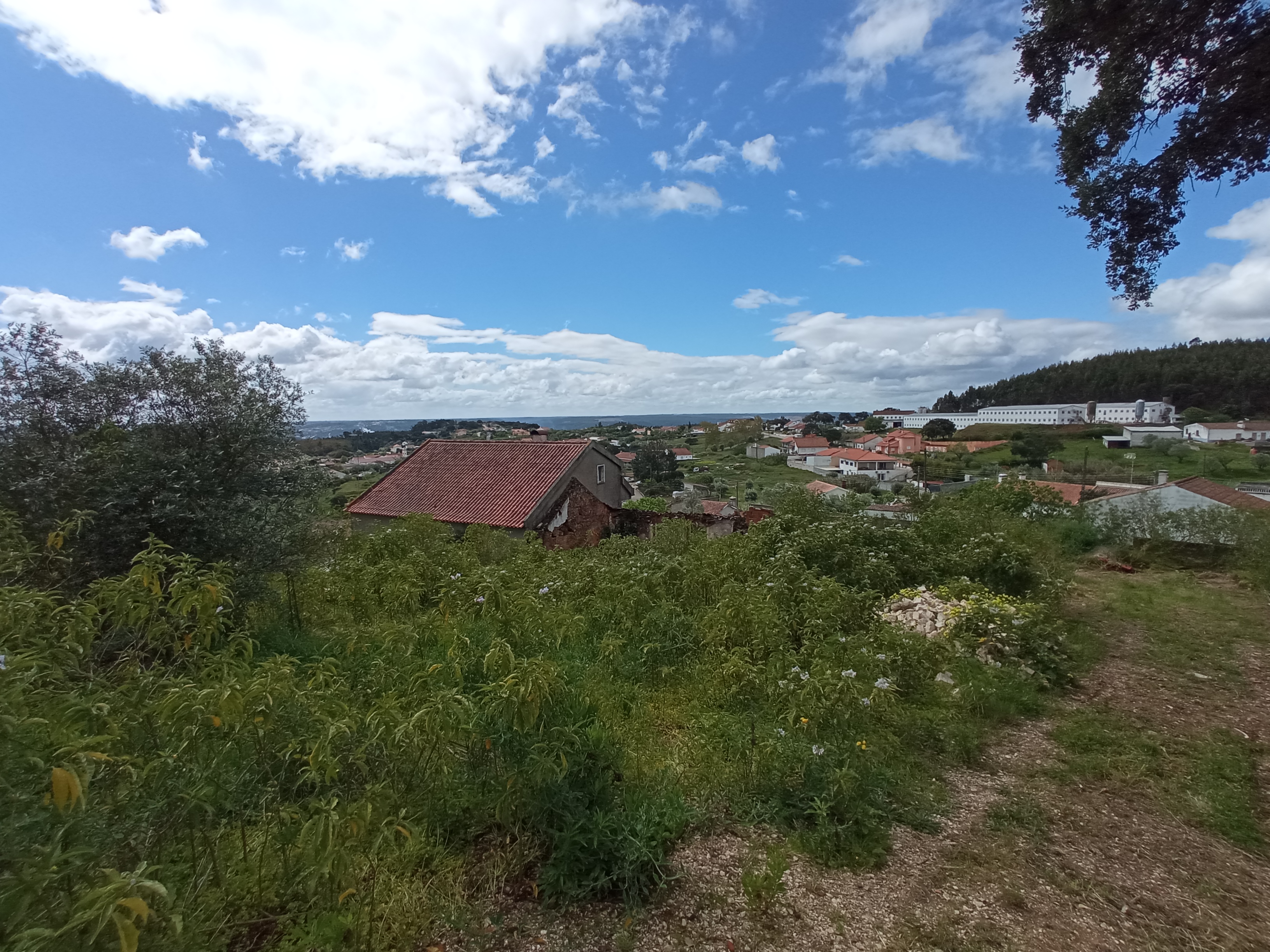Moradia para Reabilitação em Vila Nova da Barquinha - Image 10