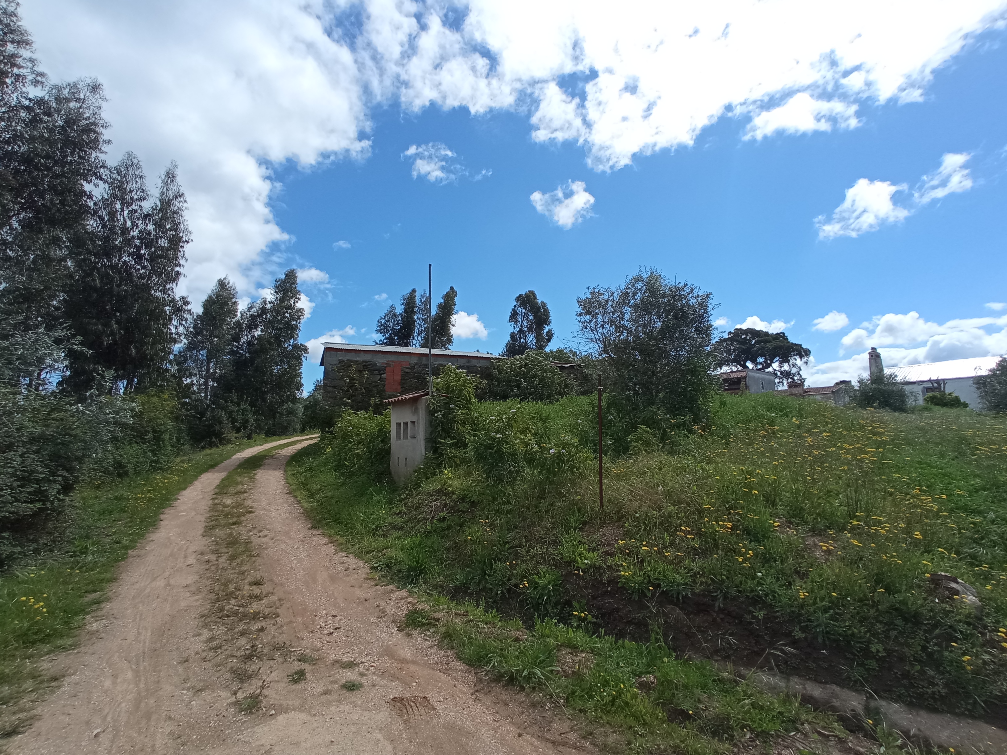 Moradia para Reabilitação em Vila Nova da Barquinha - Image 13