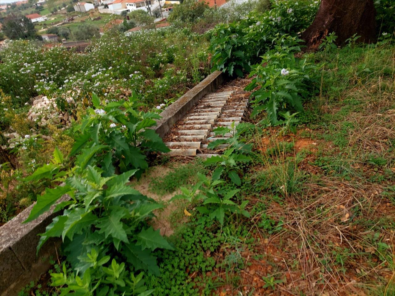 Moradia para Reabilitação em Vila Nova da Barquinha - Image 11