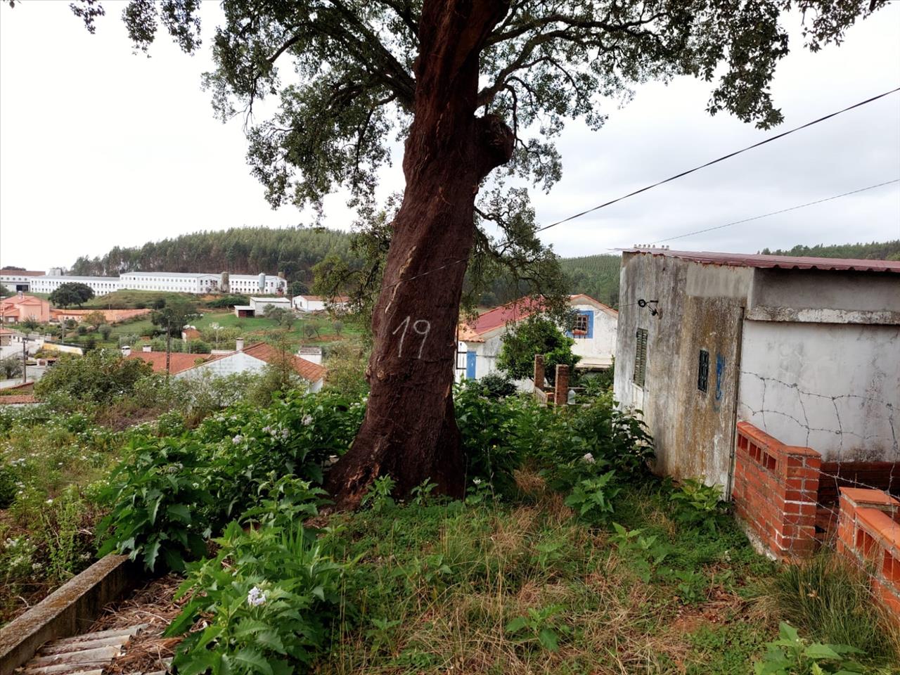 Moradia Térrea para reconstrução total com terreno, Outeiro, Praia do Ribatejo - Image 9