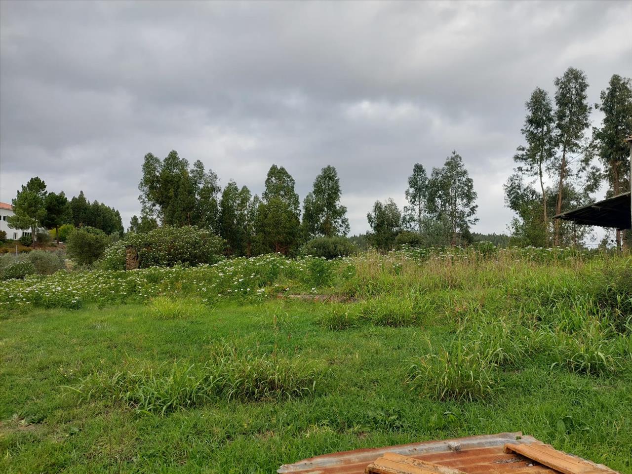 Moradia Térrea para reconstrução total com terreno, Outeiro, Praia do Ribatejo - Image 8