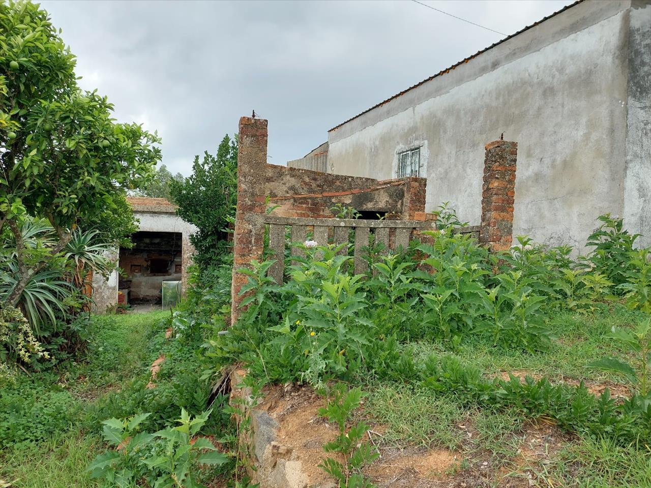 Moradia Térrea para reconstrução total com terreno, Outeiro, Praia do Ribatejo - Image 5