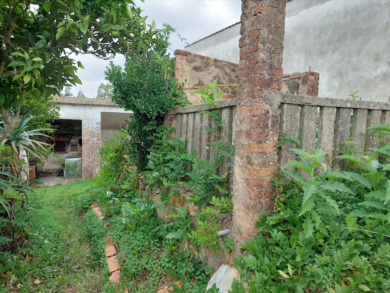 Moradia Térrea para reconstrução total com terreno, Outeiro, Praia do Ribatejo - Image 4