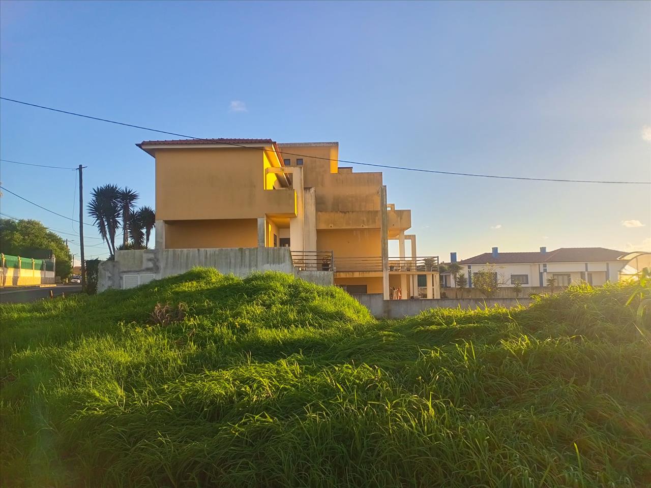 Image5