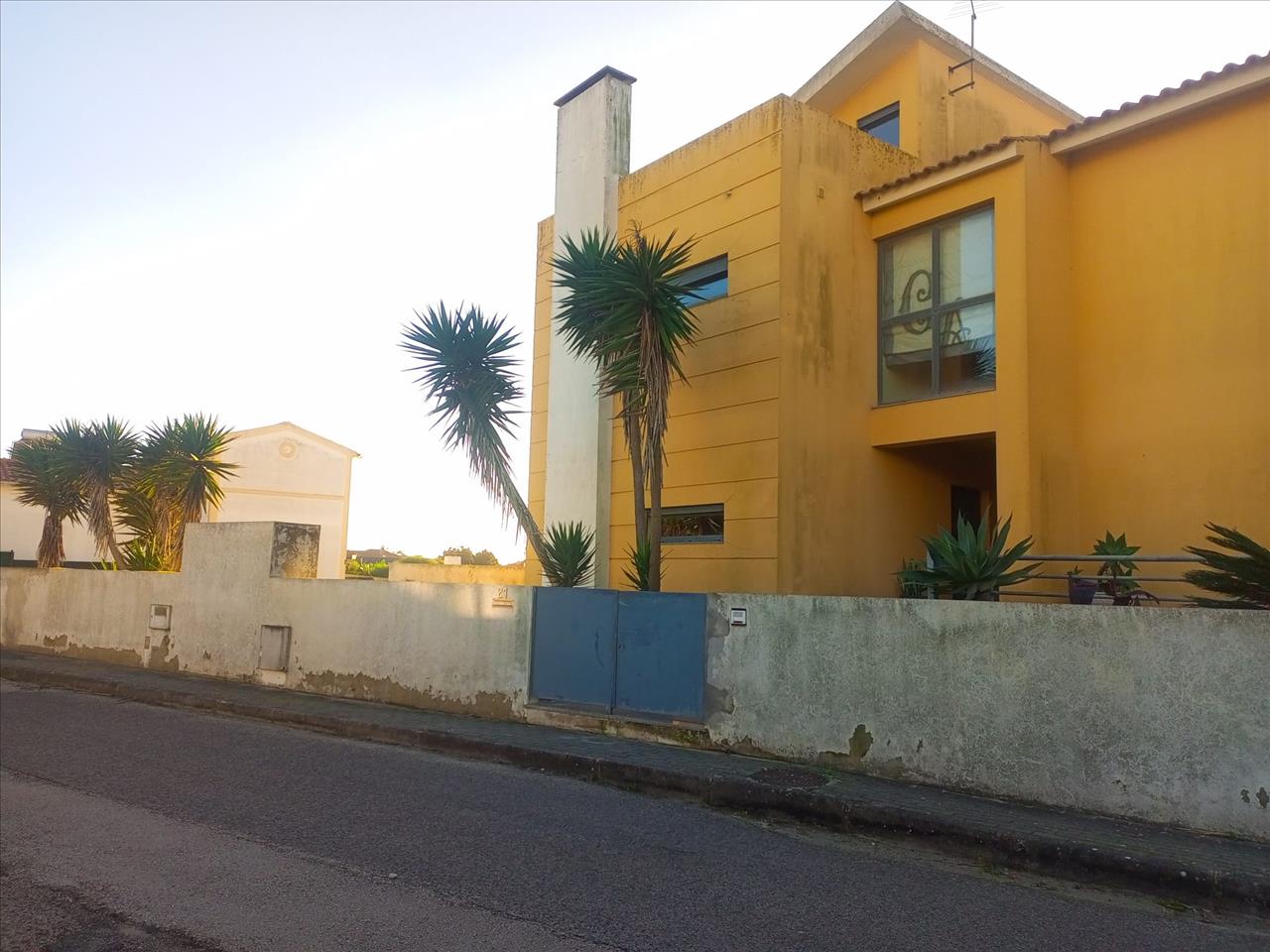 Image4