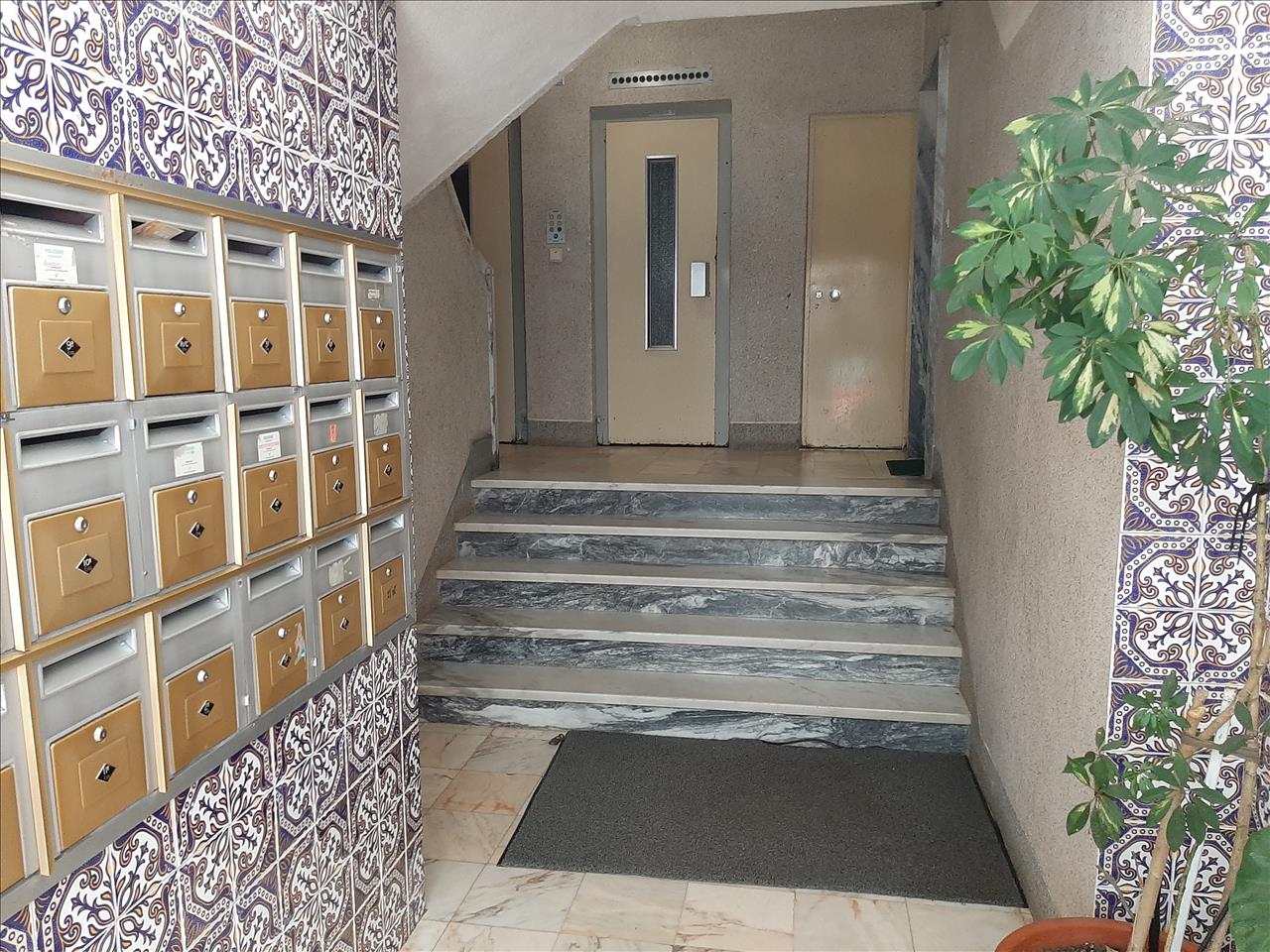 Image3
