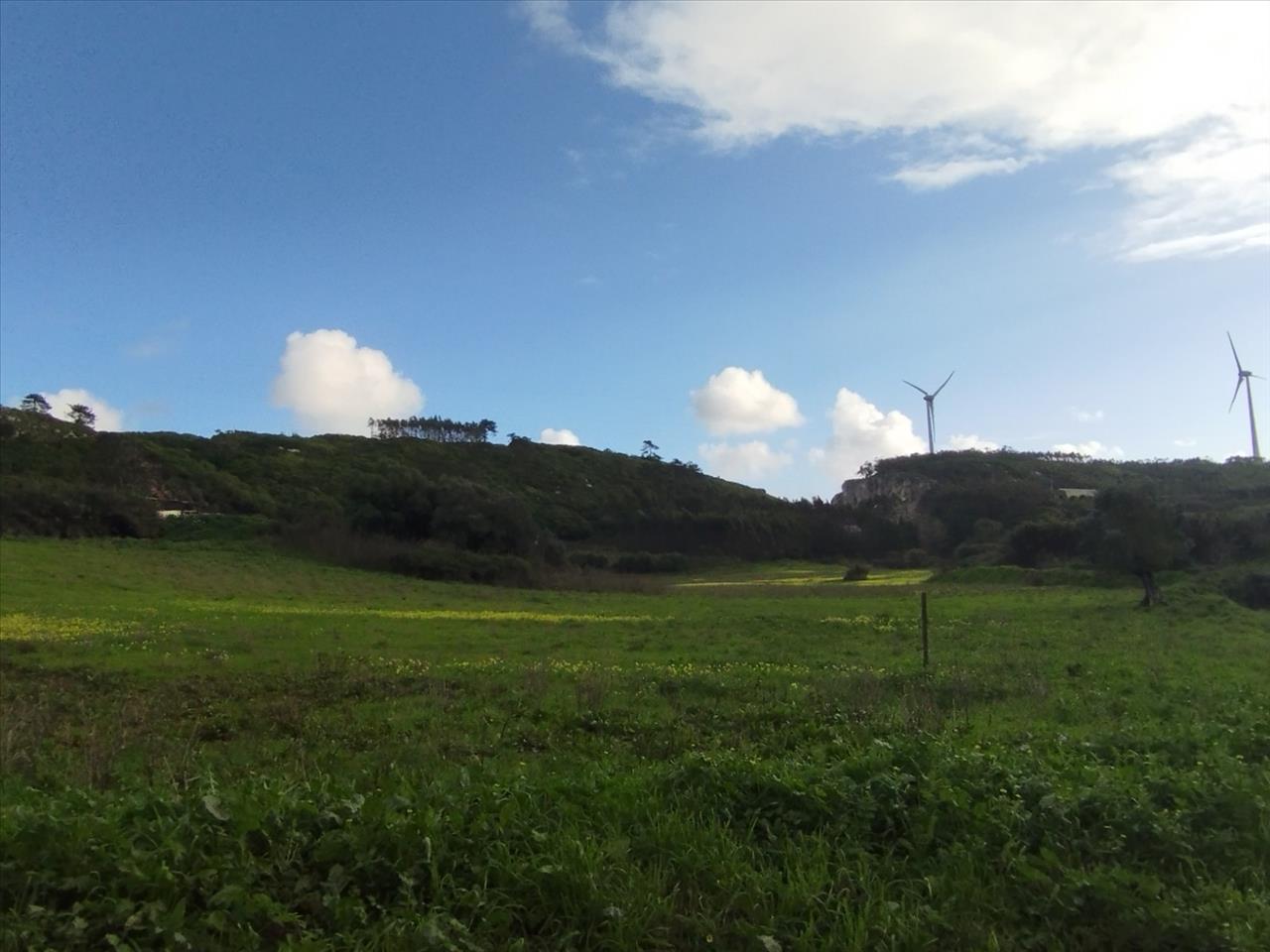 Image4