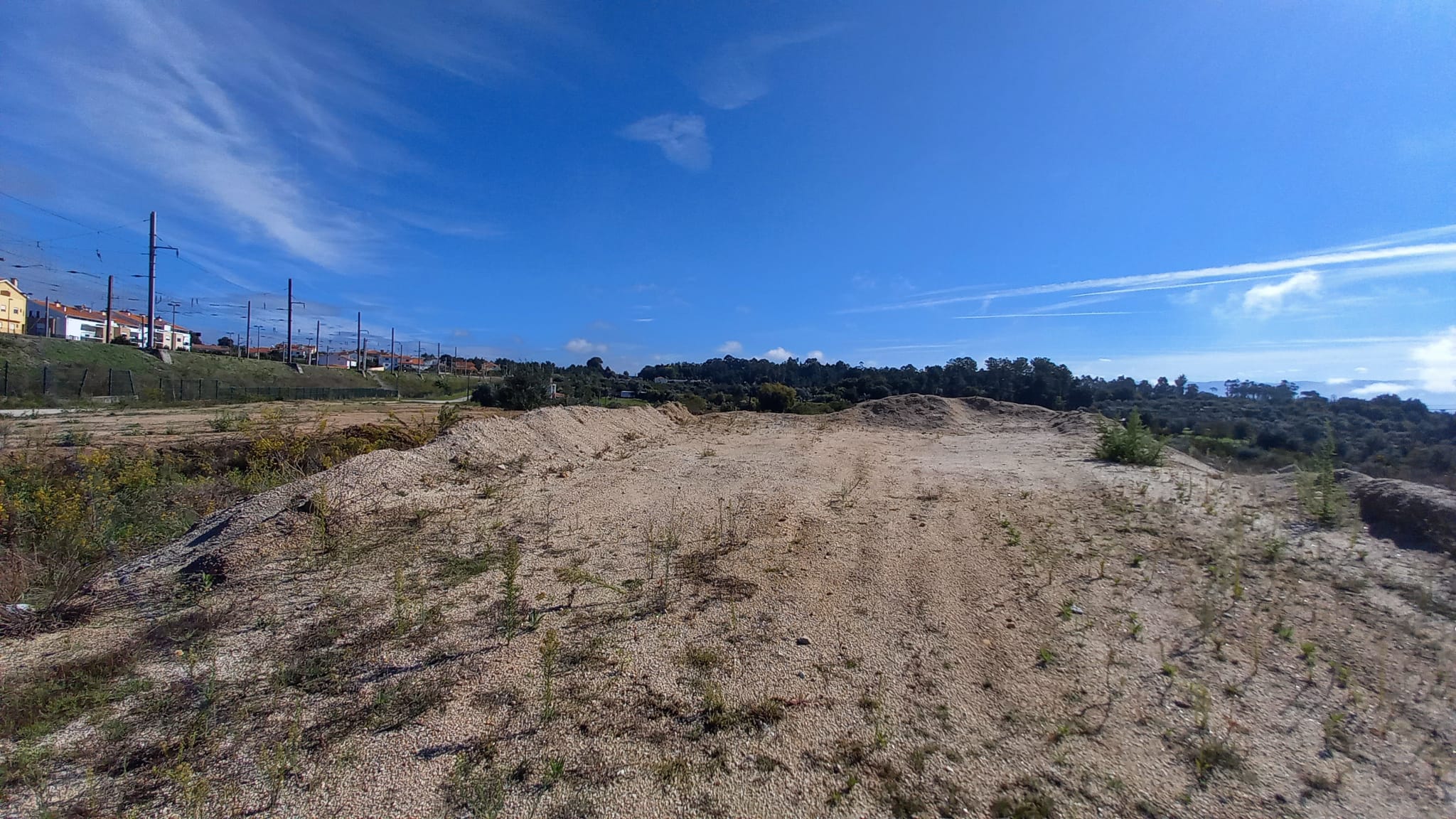 Image4