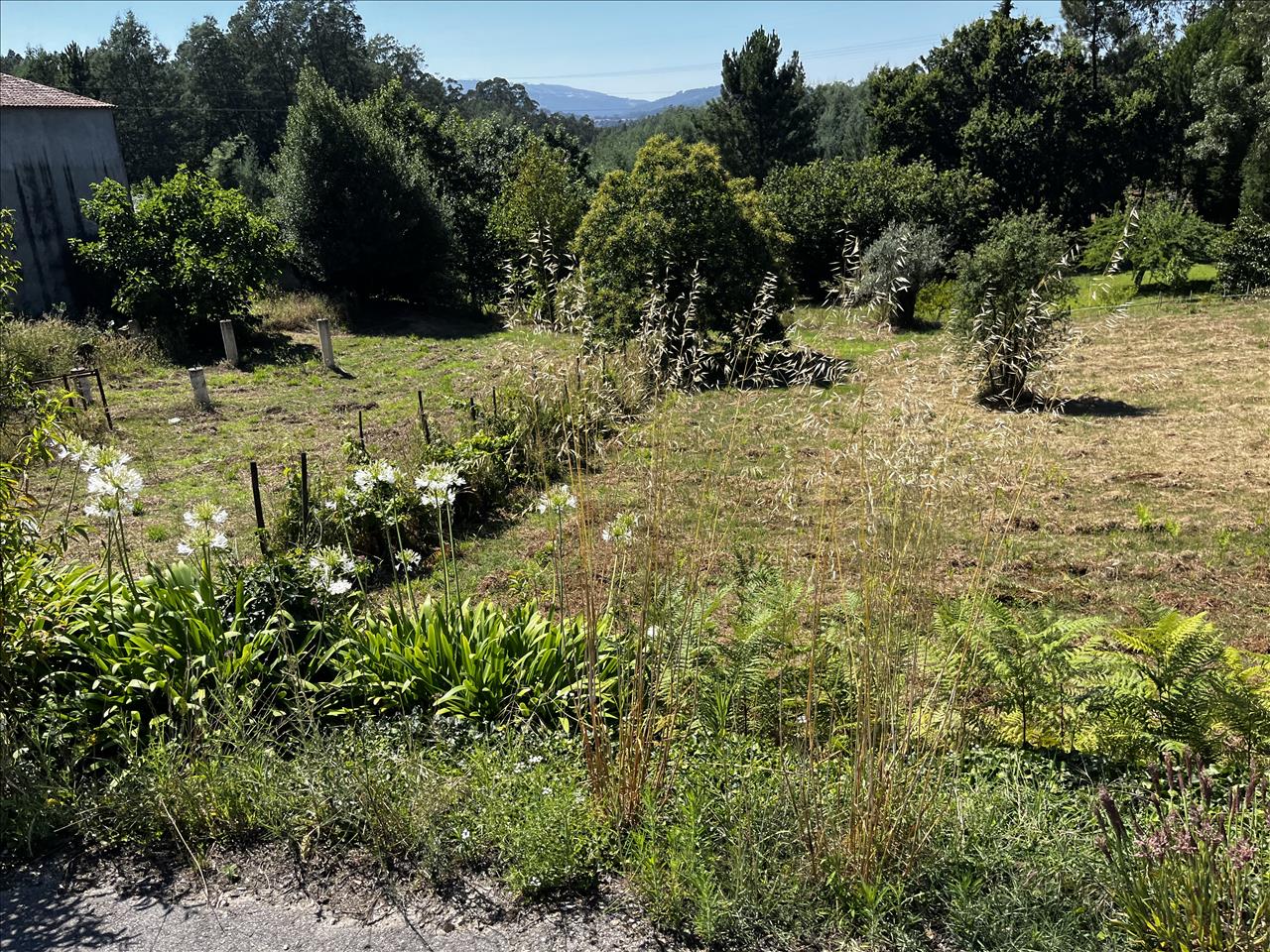 Image2
