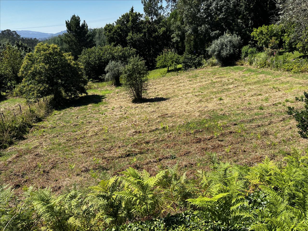 Image3