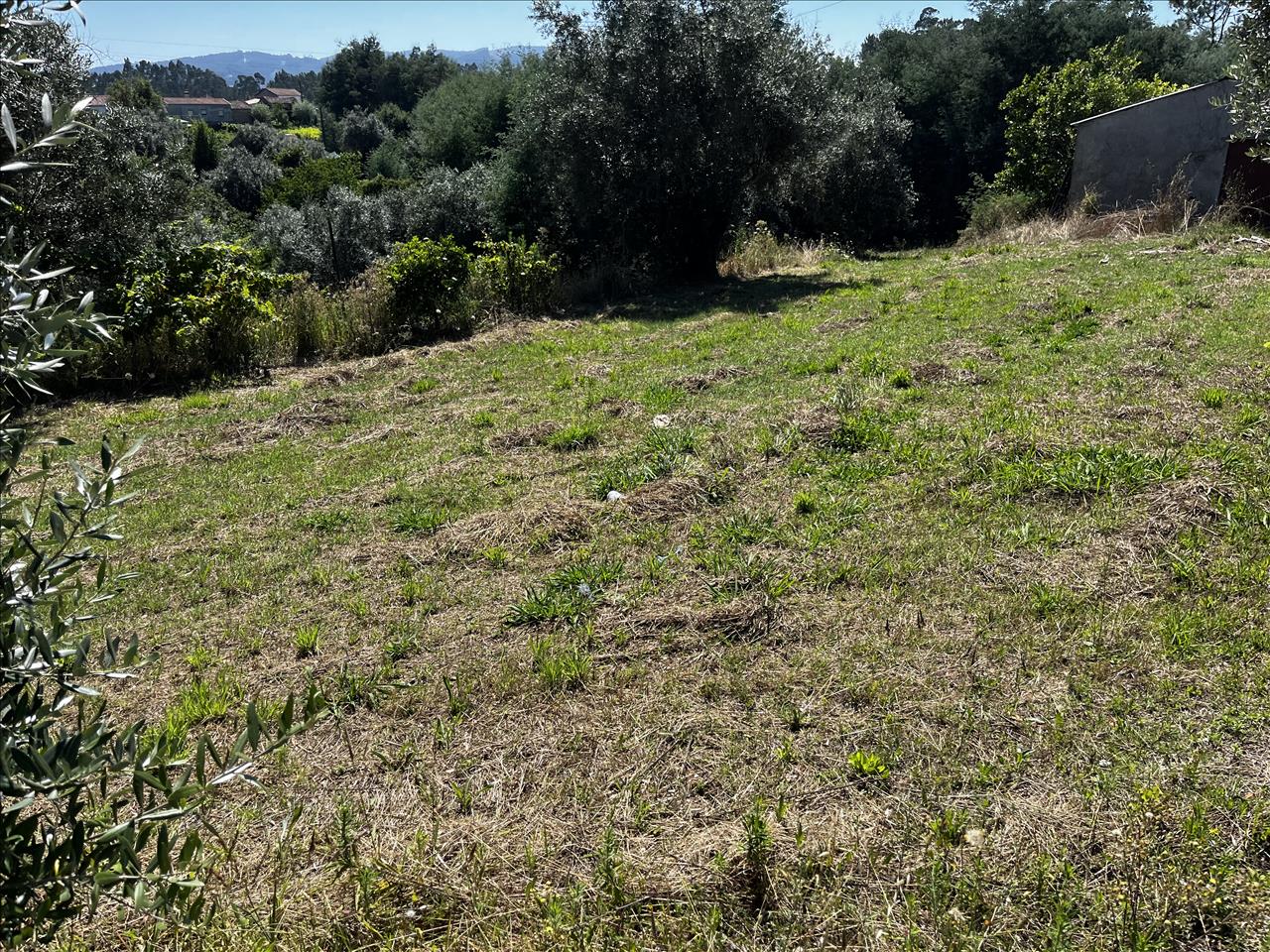 Image4