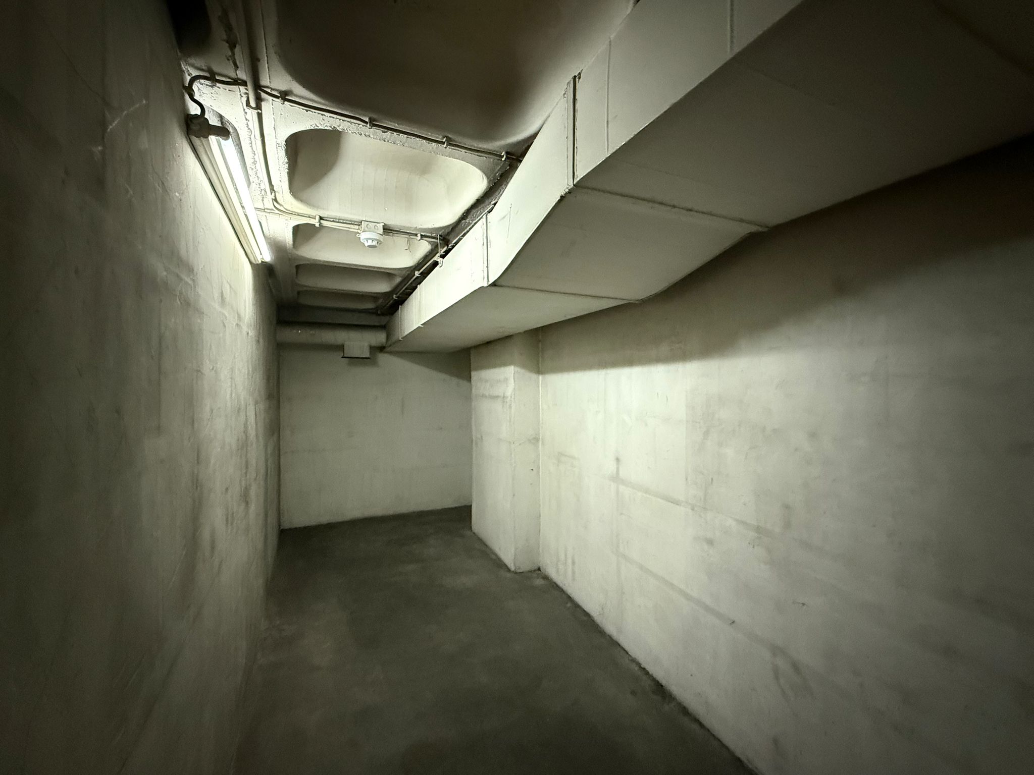 Image4