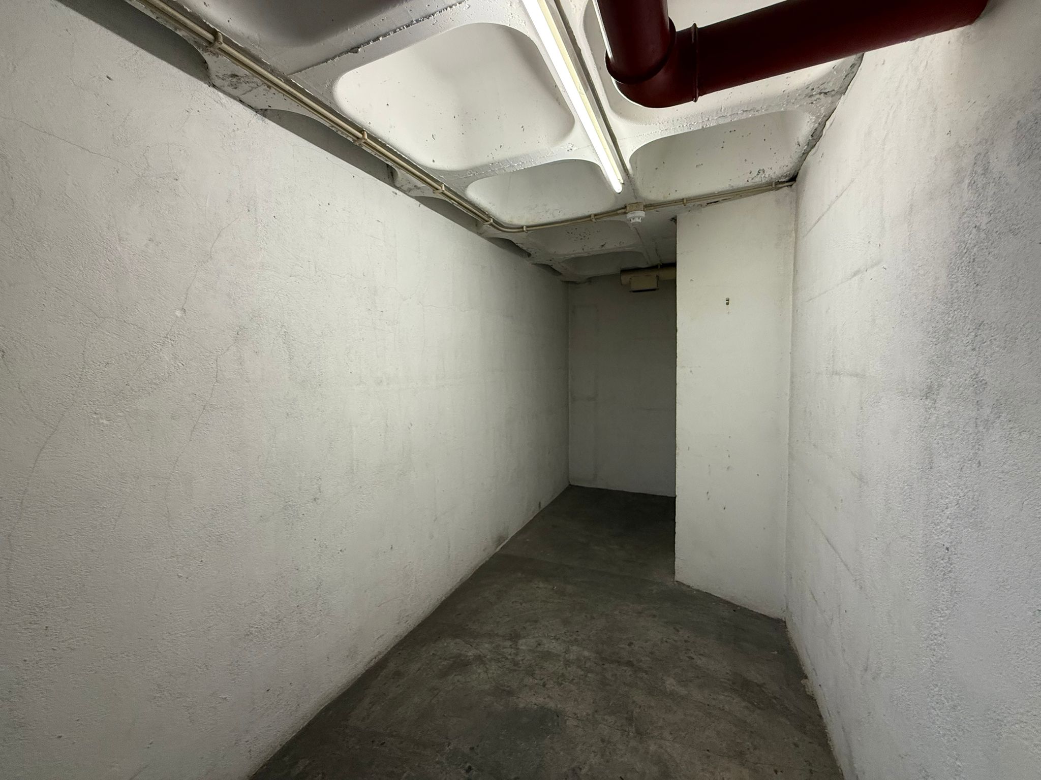 Image4