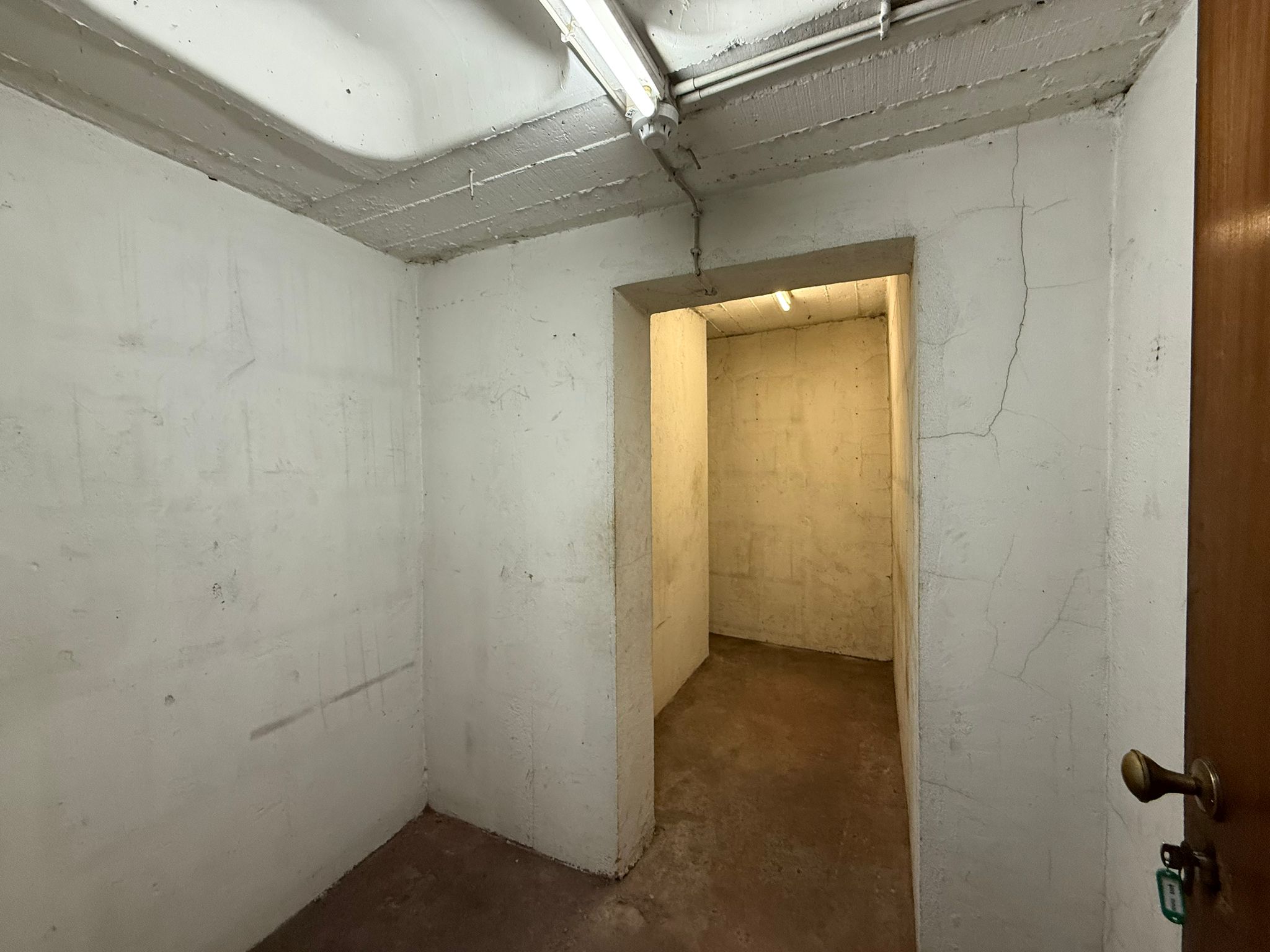 Image4