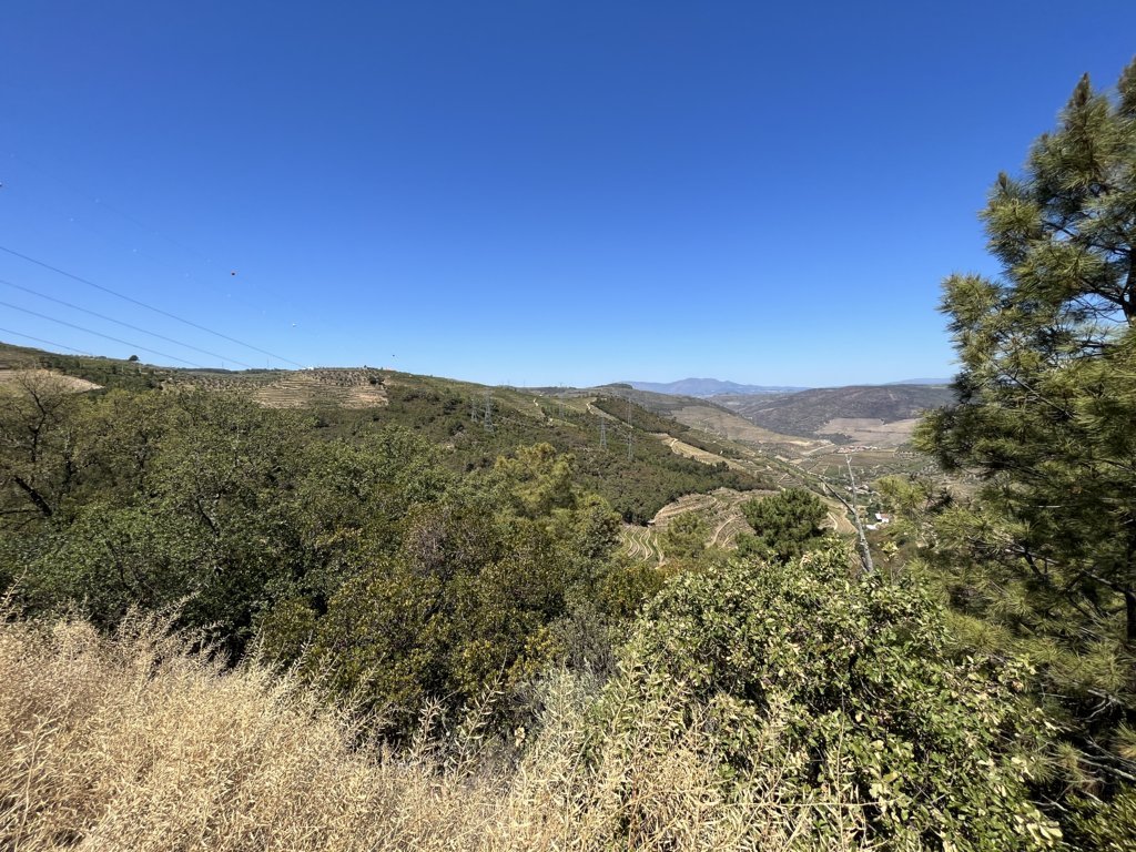 Image4