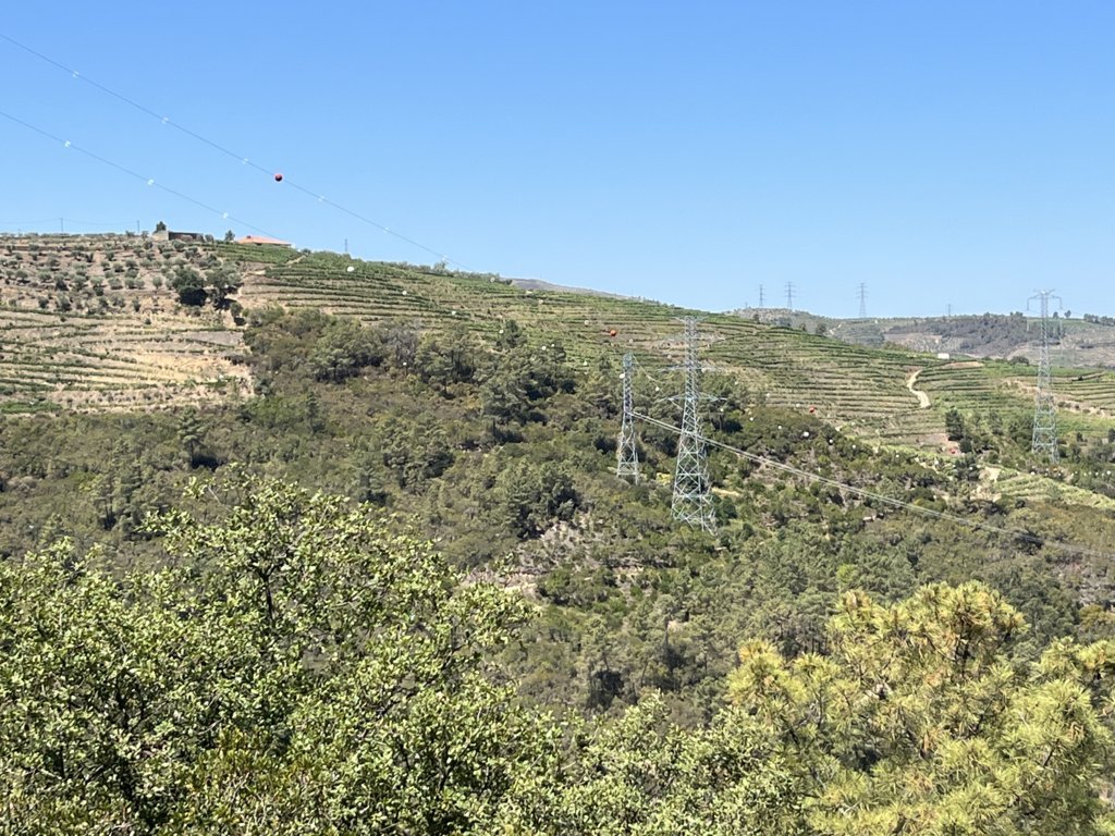 Image2