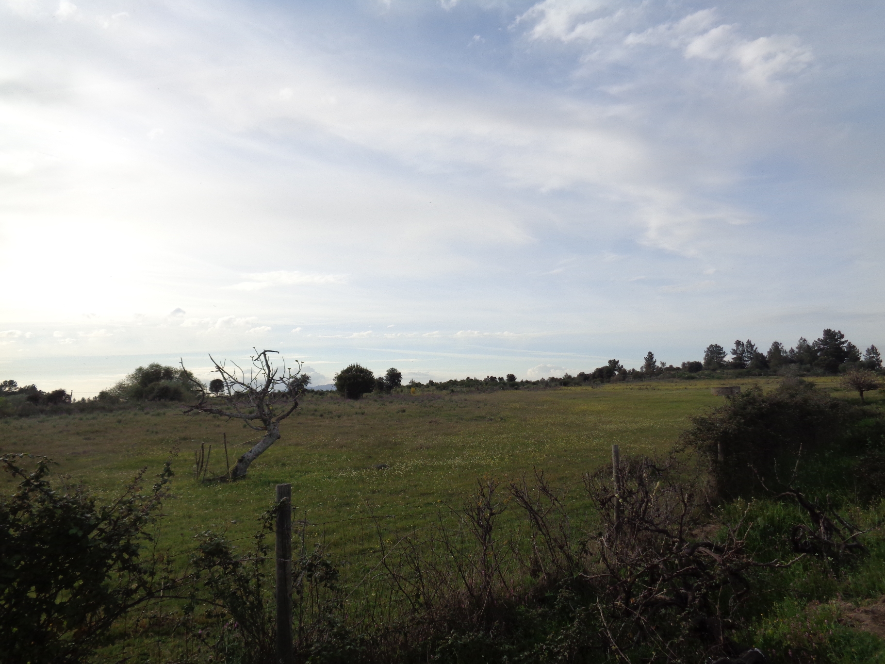 Image4