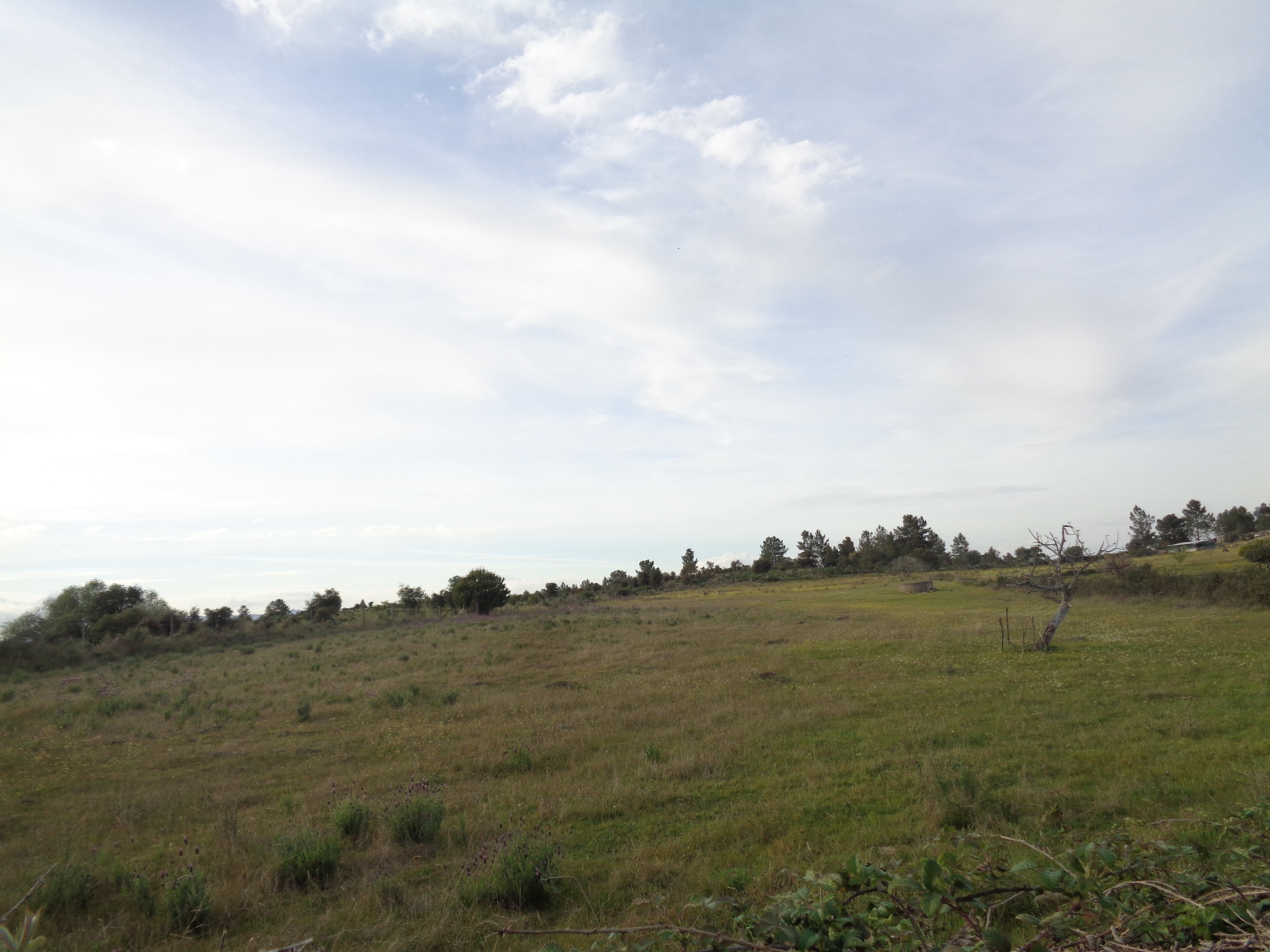 undefined - Image 3