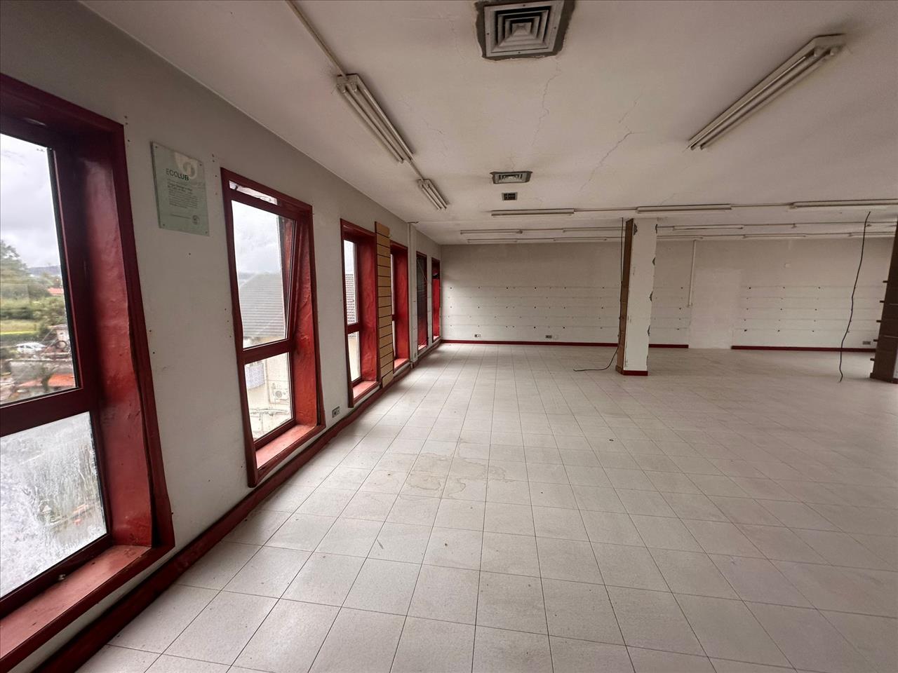 undefined - Image 12