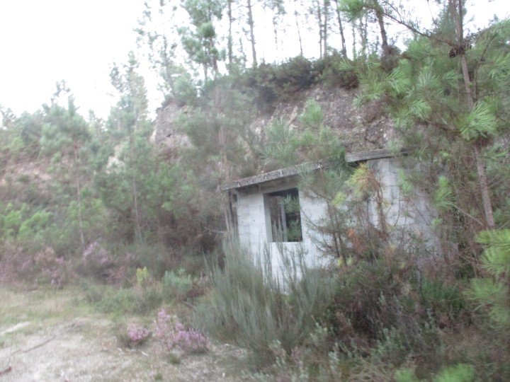 Image4