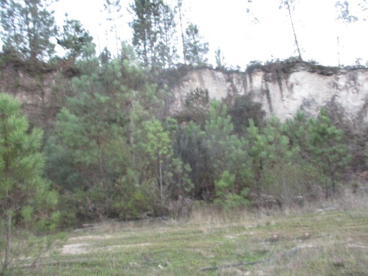 Image2