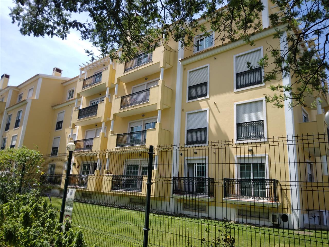 Image3