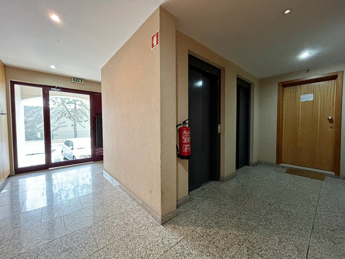 Image2