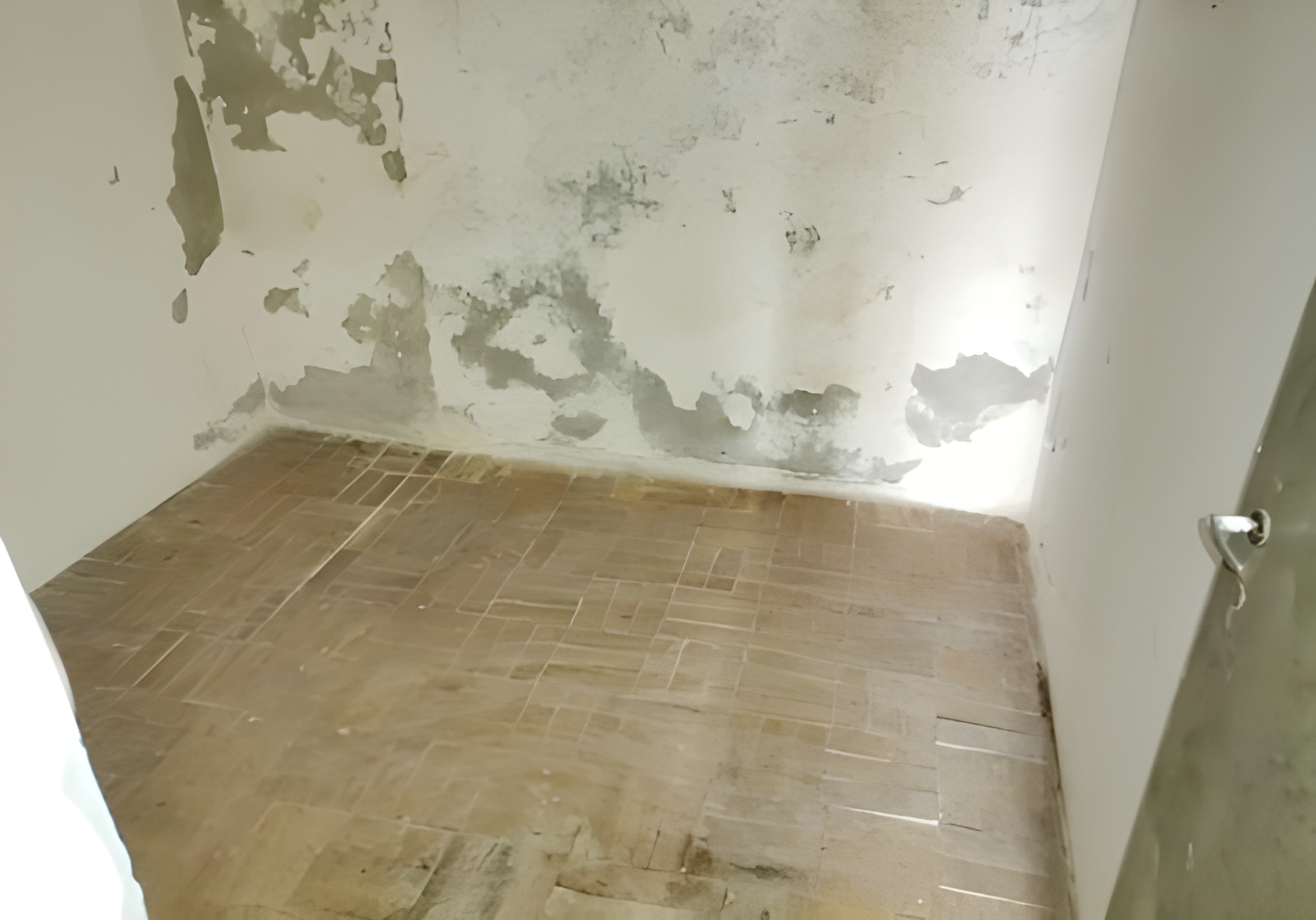Moradia T2 em Aljubarrota - Image 7