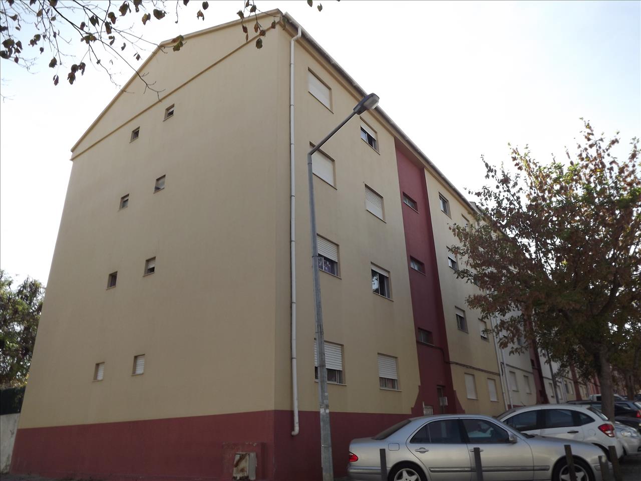 Image3