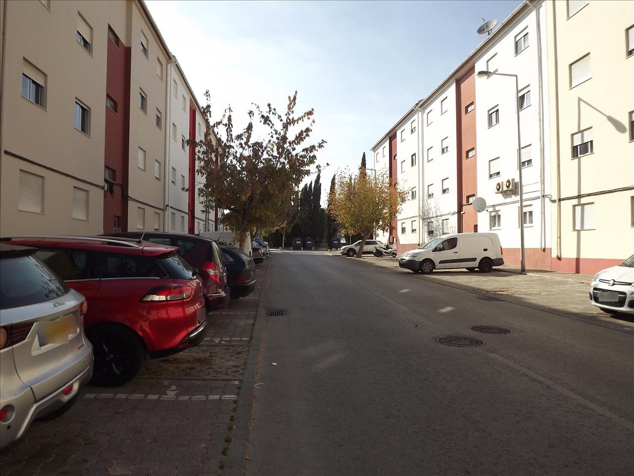 Image4