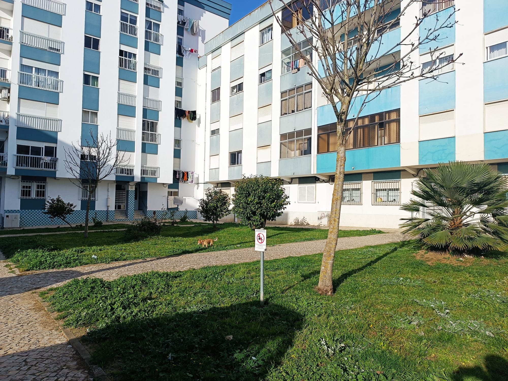 Image3