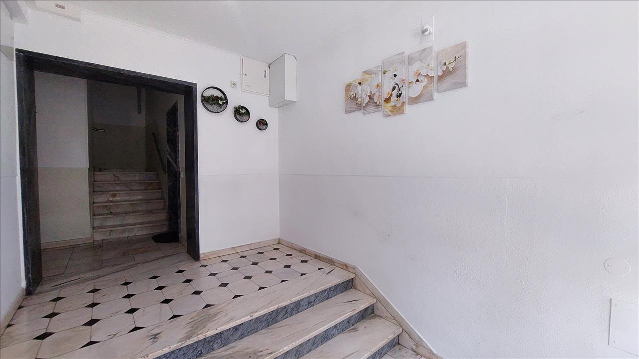 Image2