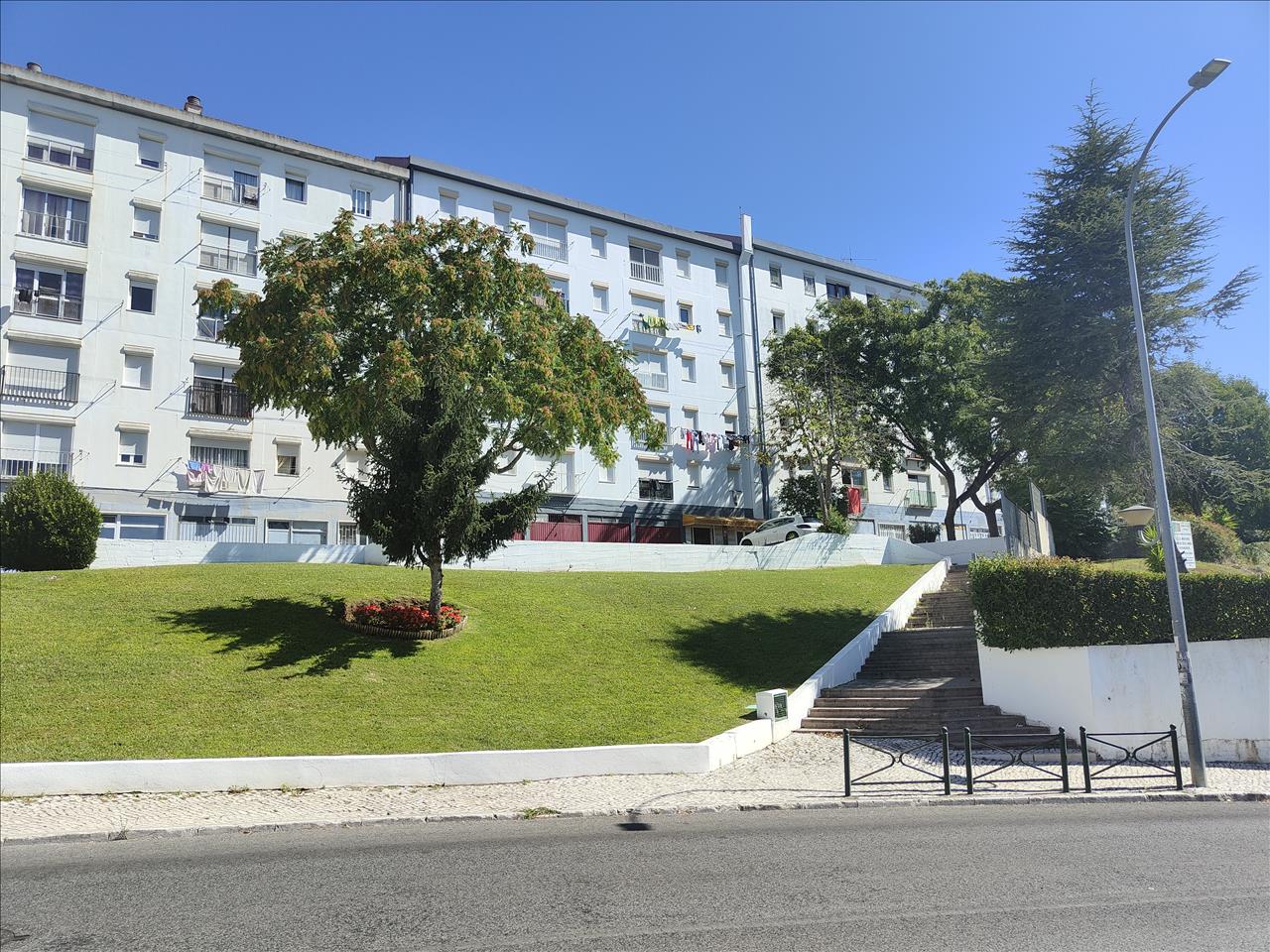 Image3
