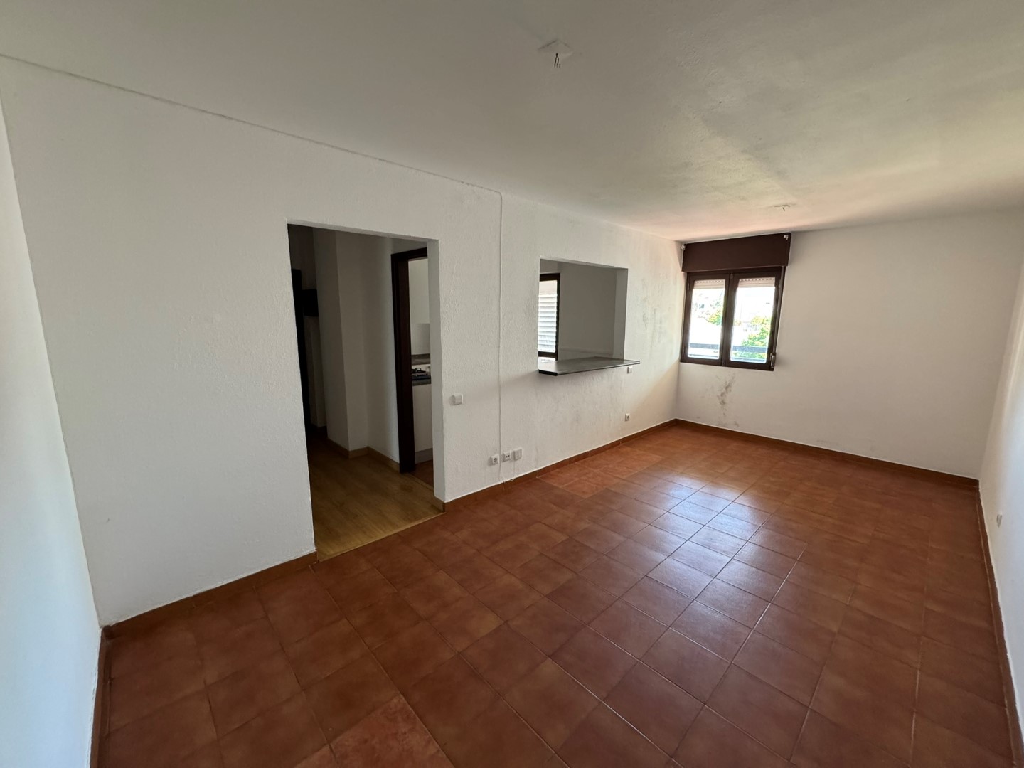 Image3