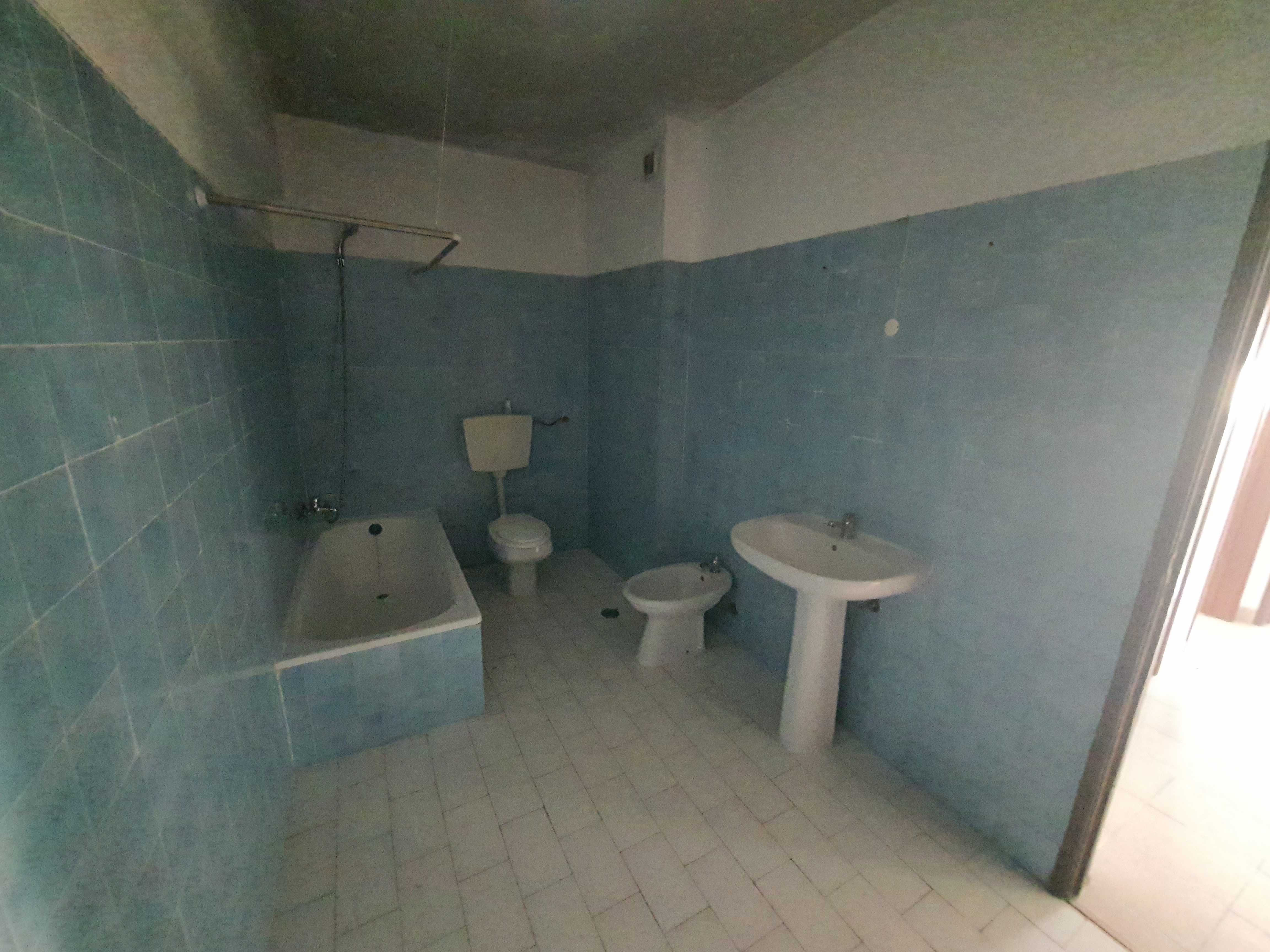 undefined - Image 12