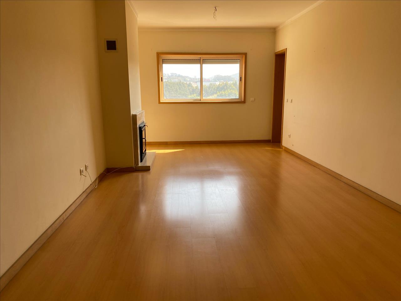 Asset image0